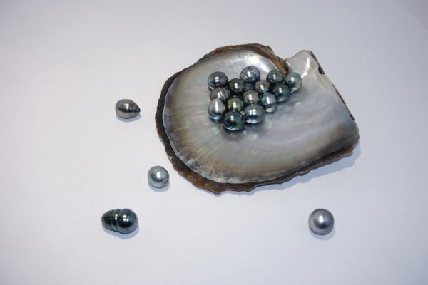 mc-bijoux-photo-perles-de-tahiti